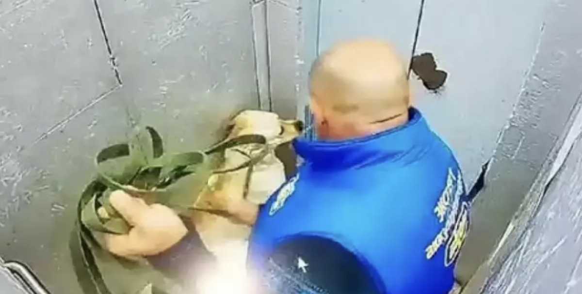 Жителя Костаная оштрафовали за истязание собаки