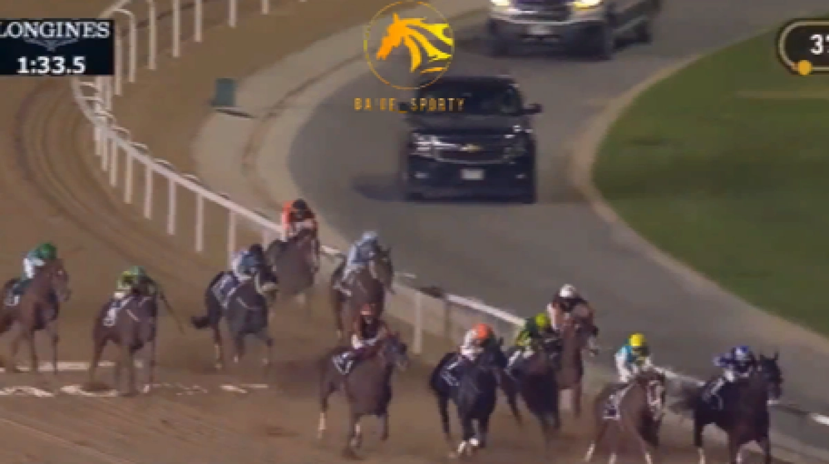 Казахстанский скакун Кабирхан выиграл скачки в Дубае