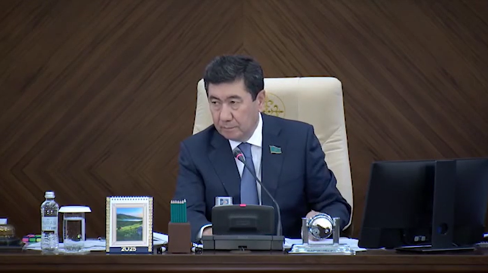 «90% не трудоустроены»: Кошанов сделал замечание Саясату Нурбеку