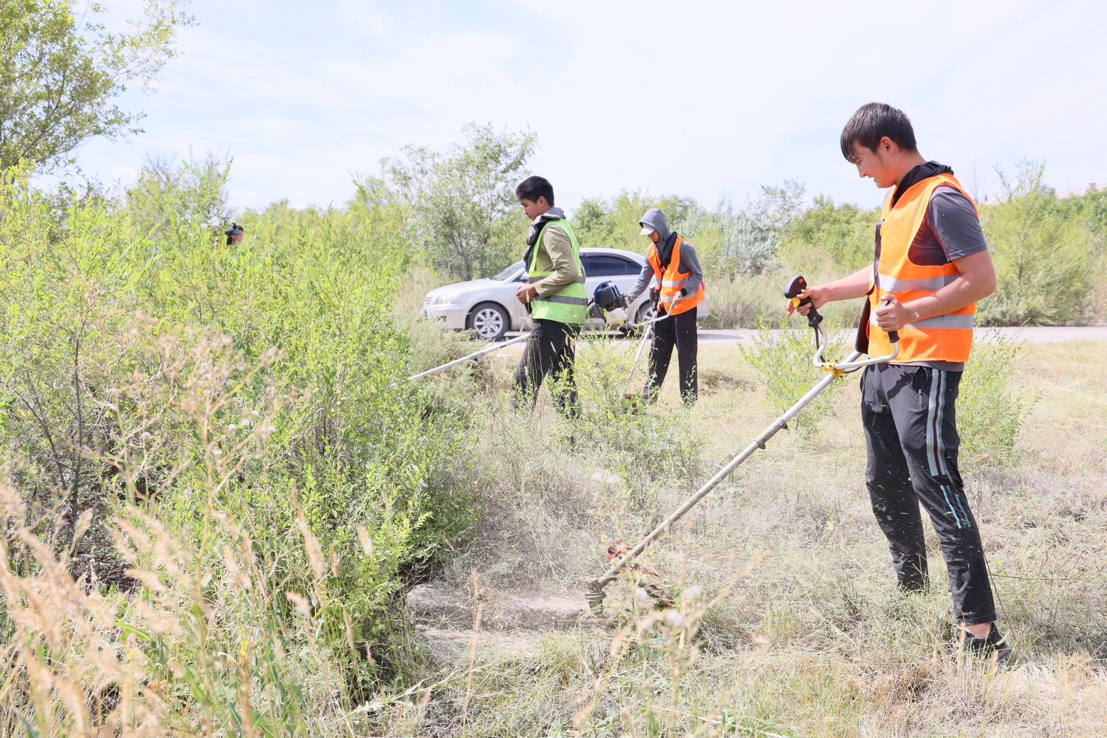 Молодёжь Шахтинска присоединилась к акции «Чистый лес»
