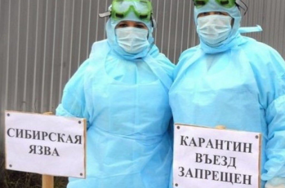 УГРОЗА СИБИРСКОЙ ЯЗВЫ:  Беспокойство граждан  и недостаток информации!