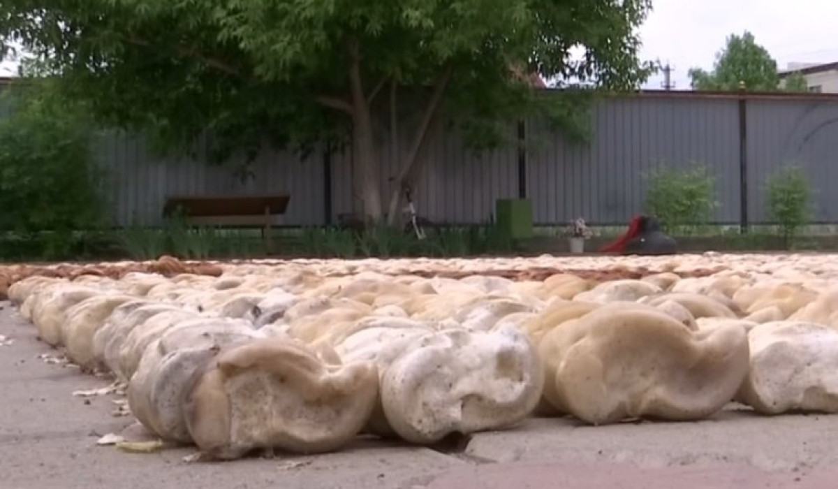 Актюбинец стал рекордсменом по асыкам